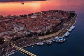 Apartments equipped with everything in Zadar, Croatia